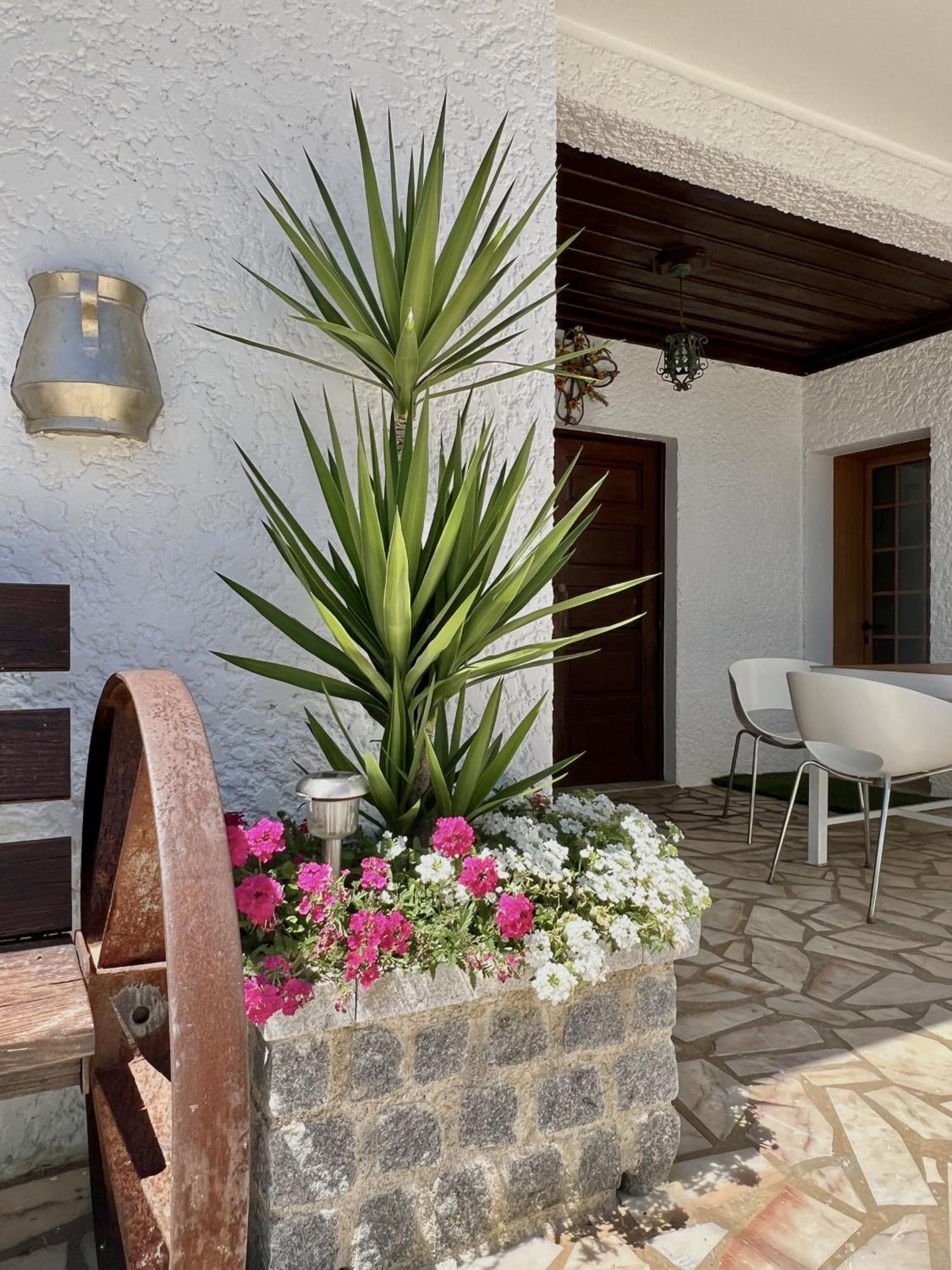 הוילה פונטה דה לימה Casa Do Xisto מראה חיצוני תמונה